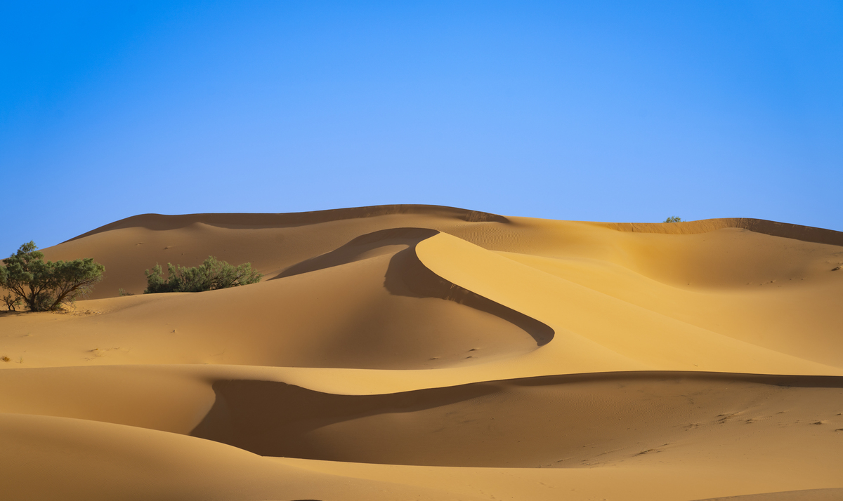 Short time In red dunes of Merzouga from Ouarzazate