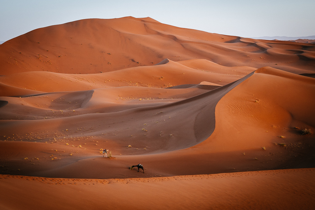 Short time  in the red dunes of Merzouga from Marrakech